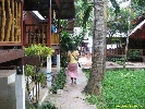IMG_1165.jpg