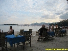 IMG_1174.jpg