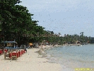 IMG_1330.jpg