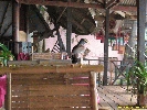 IMG_1439.jpg