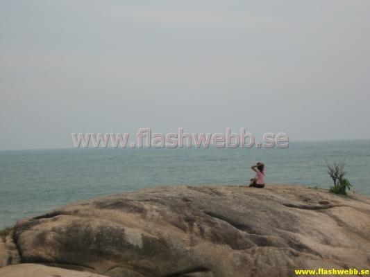 IMG_1249.jpg