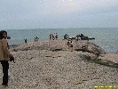 IMG_1230.jpg