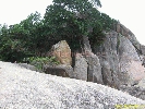 IMG_1232.jpg
