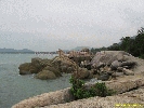 IMG_1235.jpg