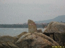 IMG_1236.jpg