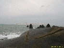 IMG_1240.jpg