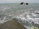IMG_1241.jpg
