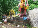 IMG_1248.jpg