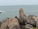 IMG_1252.jpg