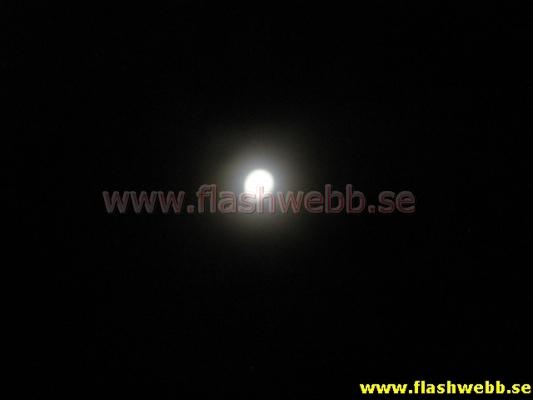 IMG_1187.jpg