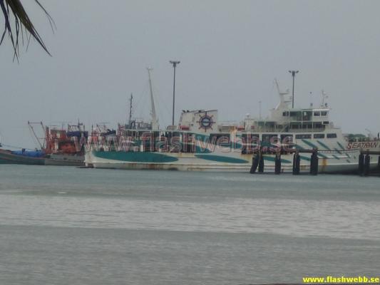 IMG_1385.jpg