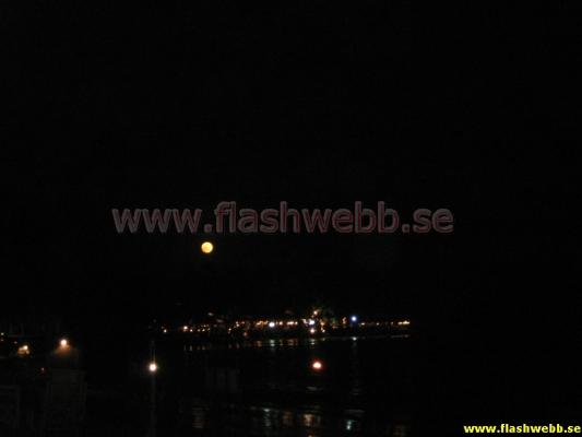 IMG_1437.jpg