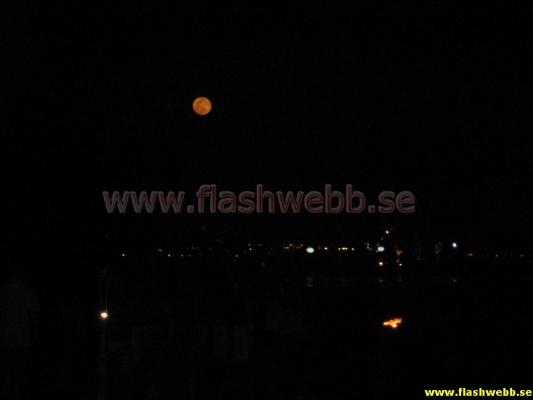 IMG_1438.jpg