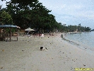 IMG_1168.jpg
