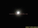 IMG_1187.jpg