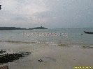 IMG_1213.jpg