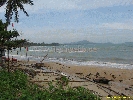 IMG_1222.jpg