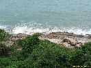 IMG_1223.jpg