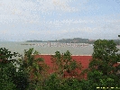 IMG_1303.jpg