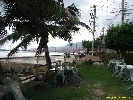 IMG_1382.jpg