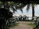 IMG_1384.jpg
