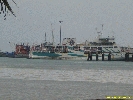 IMG_1385.jpg