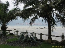 IMG_1386.jpg