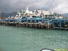 IMG_1387.jpg