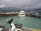 IMG_1391.jpg