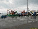 IMG_1392.jpg