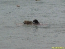 IMG_1408.jpg