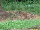 IMG_1418.jpg