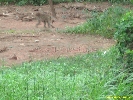 IMG_1419.jpg