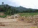 IMG_1421.jpg