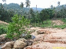 IMG_1422.jpg