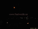 IMG_1438.jpg