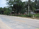 IMG_1476.jpg
