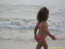 IMG_1513.jpg