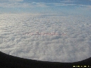 IMG_1546.jpg