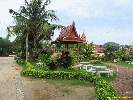IMG_1269.jpg