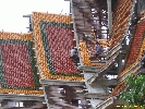 IMG_1276.jpg