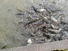 IMG_1290.jpg