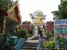 IMG_1298.jpg
