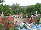 IMG_1302.jpg