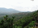 IMG_1363.jpg