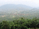 IMG_1425.jpg