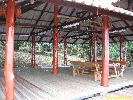 IMG_1426.jpg
