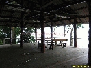 IMG_1427.jpg