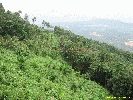 IMG_1428.jpg