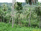 IMG_1334.jpg